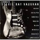 Stevie Ray Vaughan : A Tribute to Stevie Ray Vaughan
